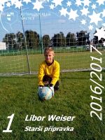 Libor Weiser